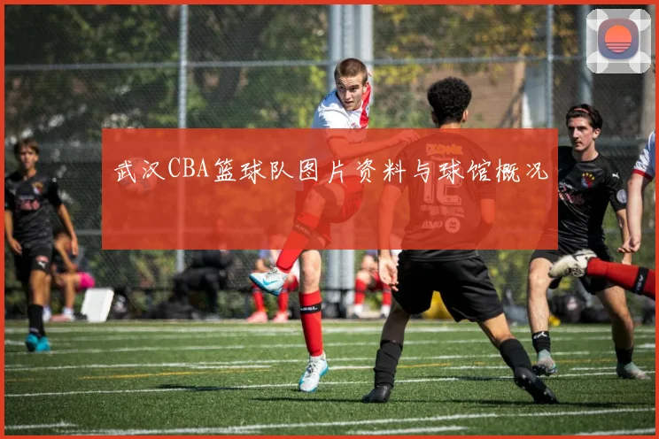 武汉CBA篮球队图片资料与球馆概况