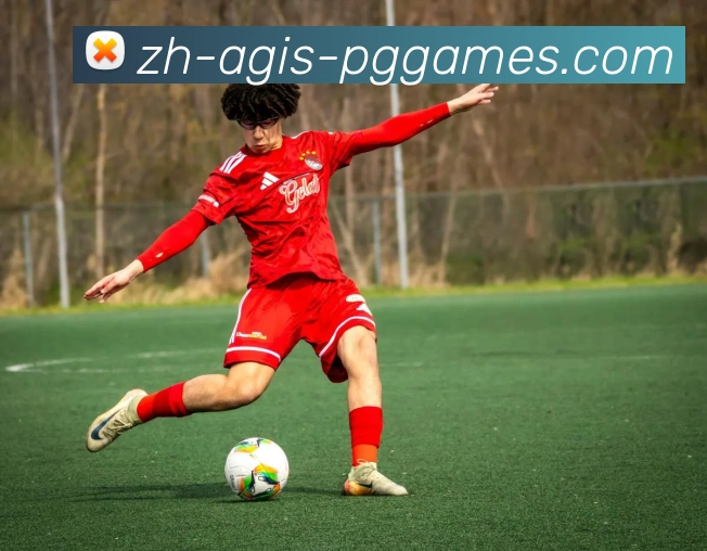 App Interface Preview